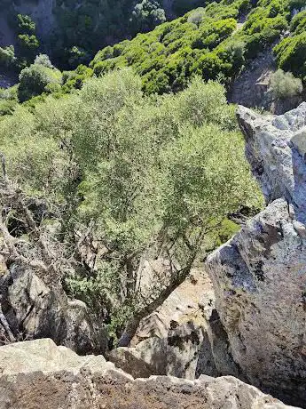 S'arrocca de su crabittaxiu