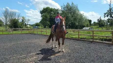 Photo de Hill Farm Longney - Farm Equine Livery, Events Venue, Sheepwalking, Tasty Tumpers