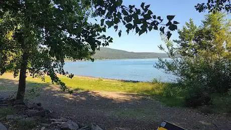 Dog Beach