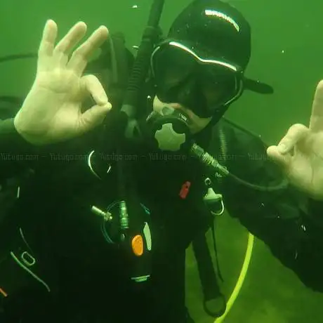 Ortega Diving