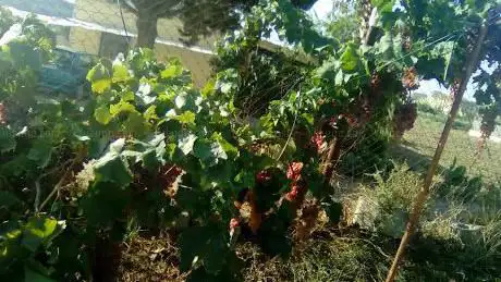 Photo de Ermita de La Portilla