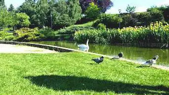 Photo de Parc Richard Pouille