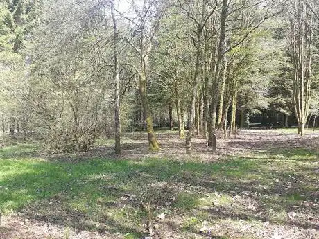 Photo de Arboretum de Vaux-sur-Sûre