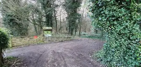 Photo de Plantation Woods