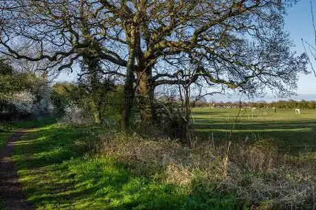 Photo de Swine Bank Bridleway