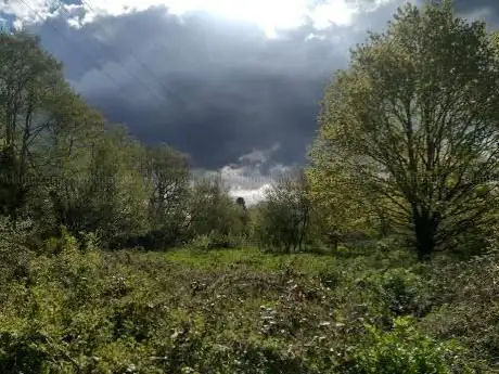 Photo de Hempstead Meadows