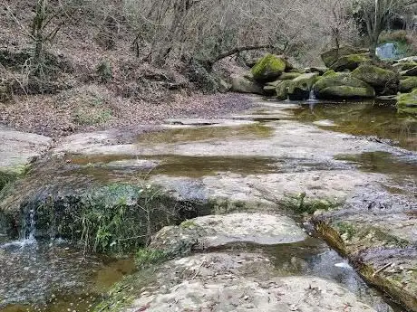 Photo de Salt d'en Nara