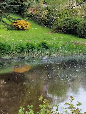 Herons Brook