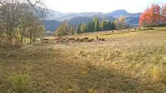Un'Pact Nature