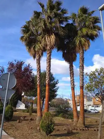 Photo de Plaza de Europa