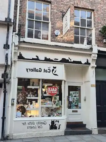 The York Cat Trail