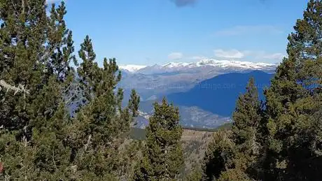 Photo de El Pedró