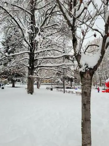 Photo de Parc de la Planta