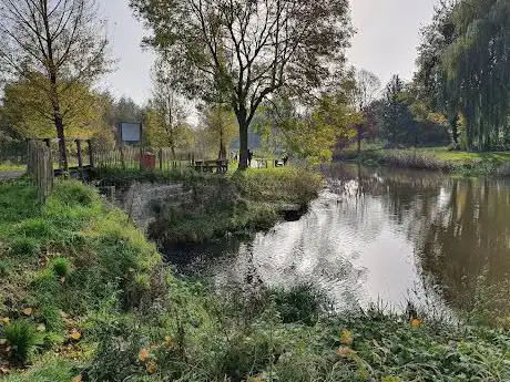 Mark river