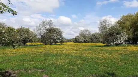 Photo de Ickleford common
