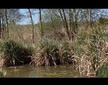 Reserve Naturel Piris Bruno Charles