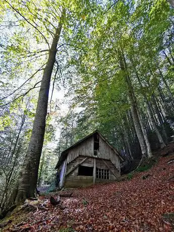 Photo de La Cabana dels d'Anglès