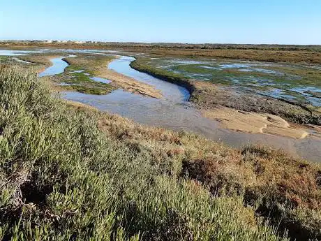 Parque Natural da Ria Formosa
