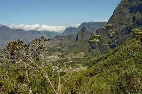 Forêt de la Mare à Joseph