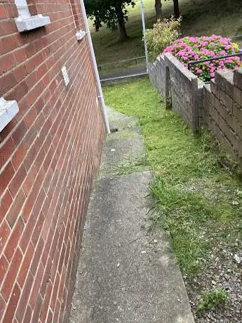 Barry grass cutting service