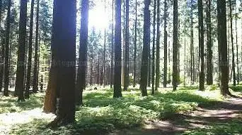 Walderlebnispfad