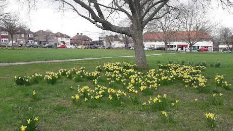 Photo de Oregon Square Open Space