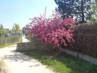 Photo de Verger Garden