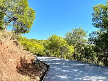 Photo de Parque forestal El Morlaco
