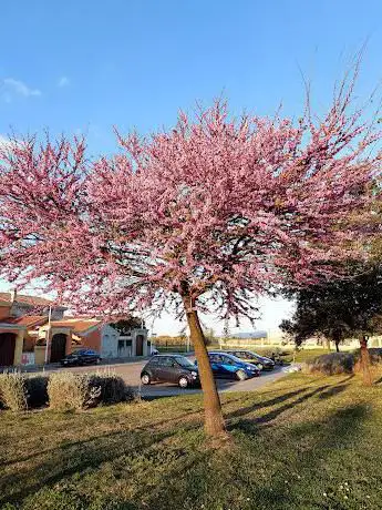 Pista ciclabile Via S. Benedetto - Margine Rosso