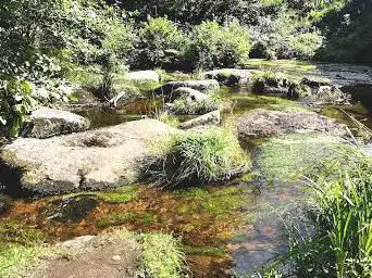 Photo de Cascade des Jarrauds