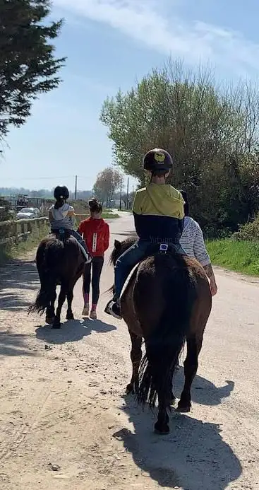 Photo de Equi'rando du houx
