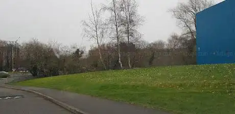 Crocus Area