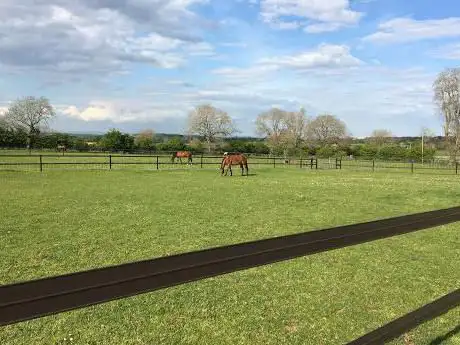 Marwood Equestrian