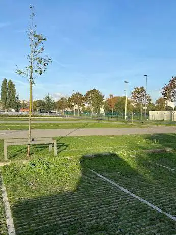 P+R Bosuil