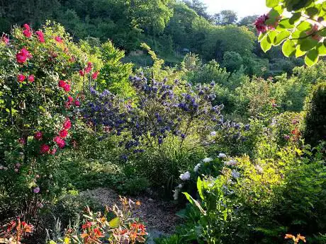 Rosanas Rosengarten