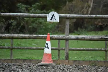Springbrook Stables