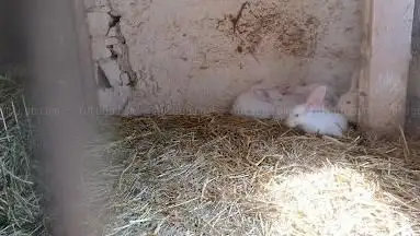 Photo de Petit Marché Bio