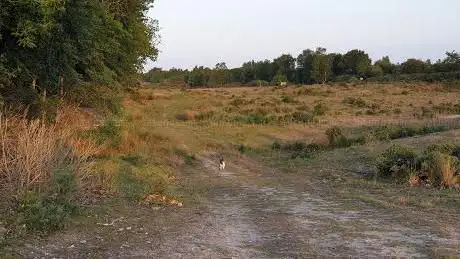 Photo de Worgret Heath