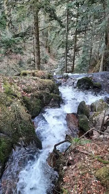 Photo de Cascade du Wagenstal