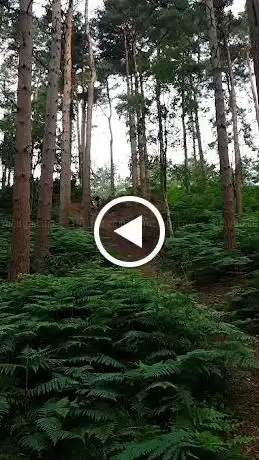 Photo de Delamere Hill Training