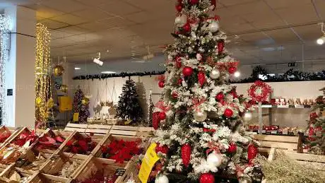 Photo de Star Temporary Store