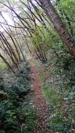 Sentiero Cai 232