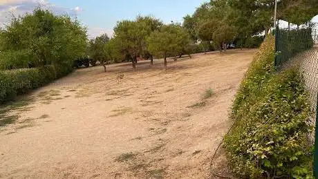 Photo de Parque