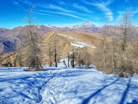 Monte Buch