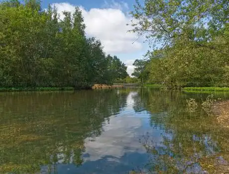 Photo de Seven Islands Pond