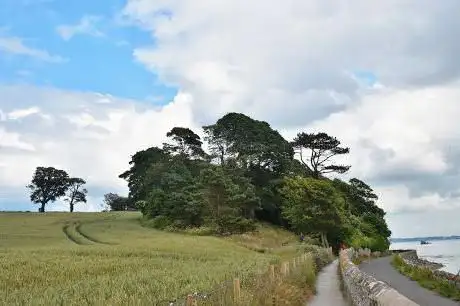 Photo de Nugent's Wood