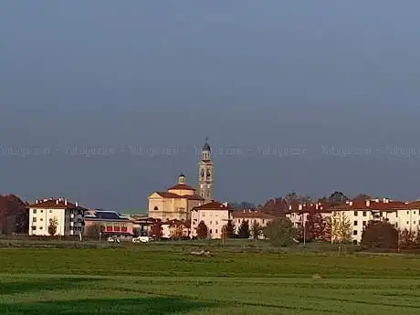Photo de Girasoli