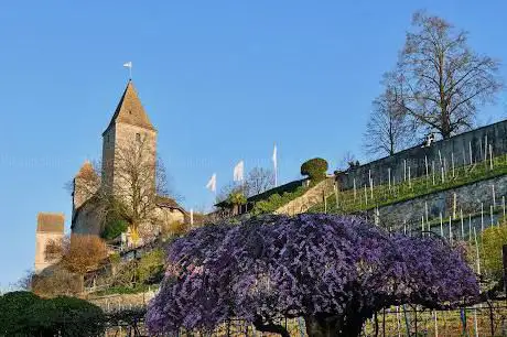 Photo de Rapperswil Peninsula