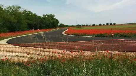 La Romanella