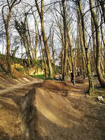Photo de Spinny Woods Bike Park/ Whitclife Forest